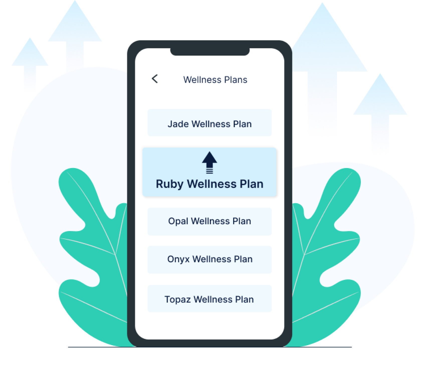 onsurity-membership-5-simple-options-to-pick-from