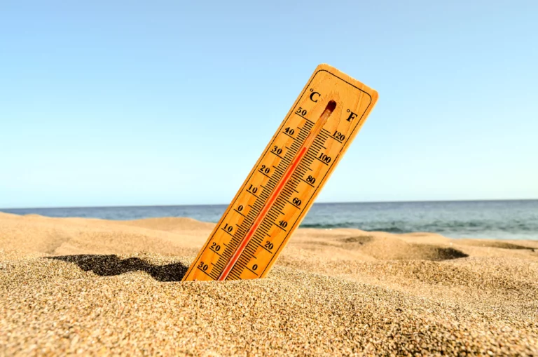 Heat Waves In 2025: Effects, Causes, and Prevention